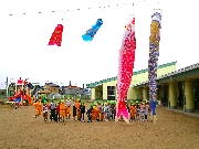こいのぼり🎏