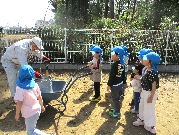 記念植樹🌸＆恐竜の化石❓🦕