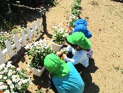 花束💐